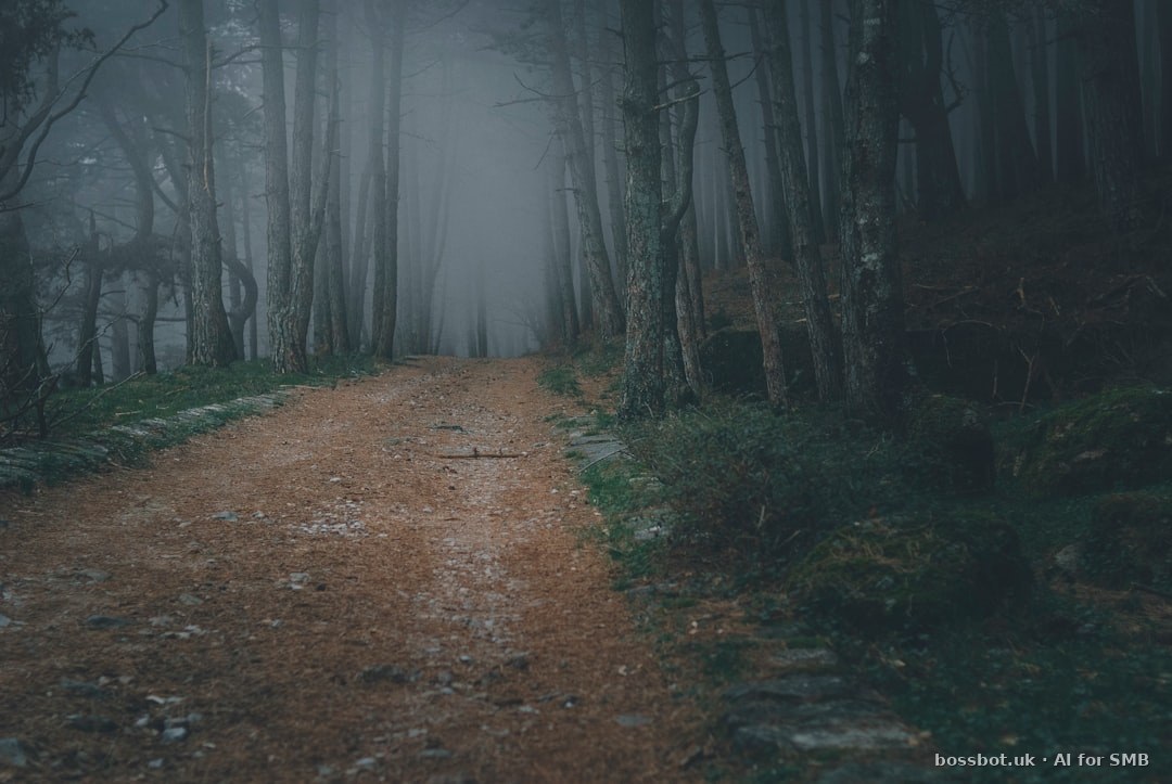 Brown dirt road between trees