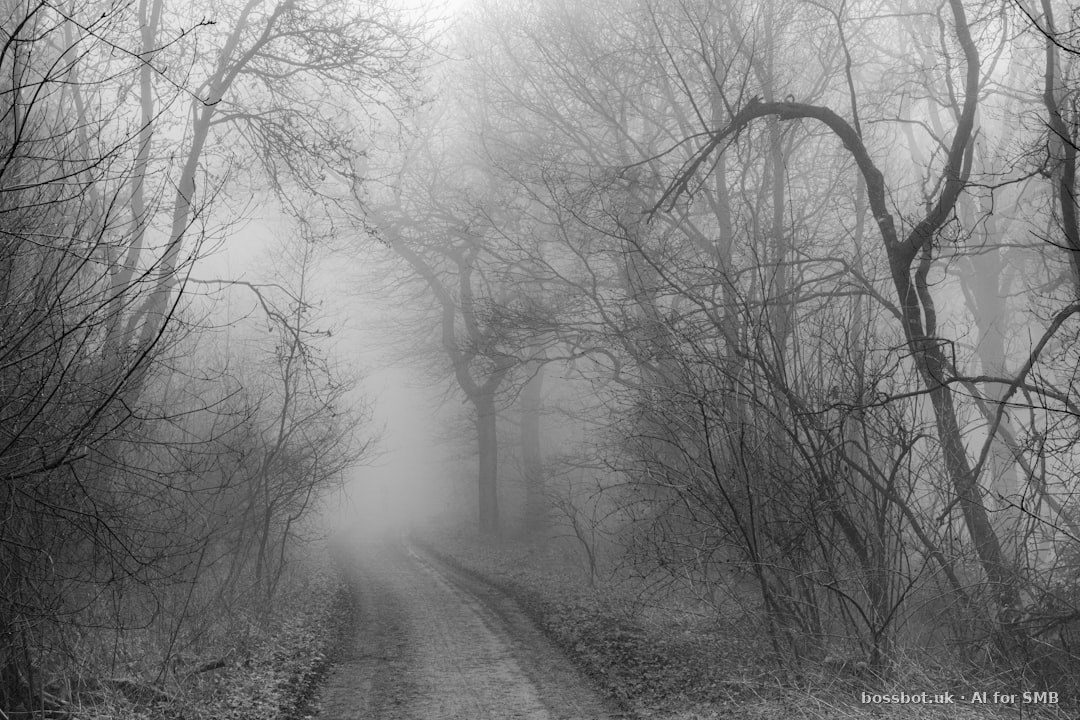 Grayscale photo of trees and road