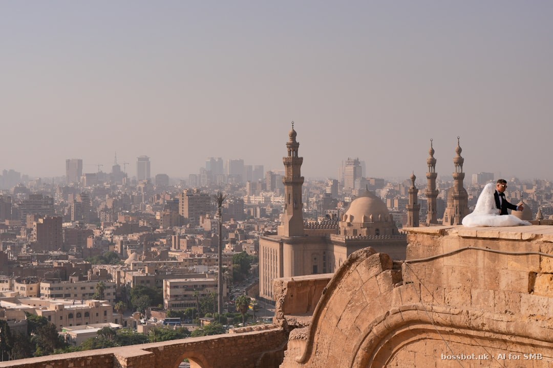 WhatsApp Automation for Photographers in Egypt — featured image